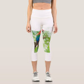 衣類・靴>女性のファッション>衣類> Le カプリレギンス (正面)