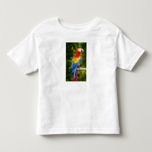 衣類＆靴 > 幼児服＆靴 > 幼児 トドラーTシャツ (正面)