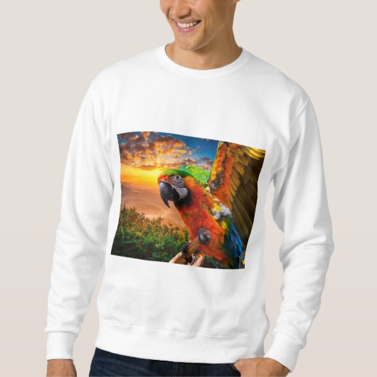 衣類・靴>男性>衣類>フード付・スワ スウェットシャツ (正面)