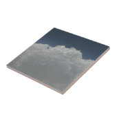 表きらめく示 タイル (側面)