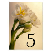 表の白い二重水仙 テーブルナンバー (裏面)