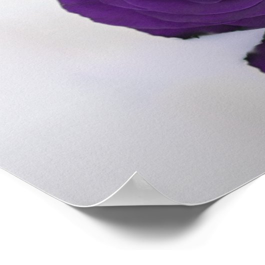 表エレガント14紫王室ののバラ座席表 ポスター (角)