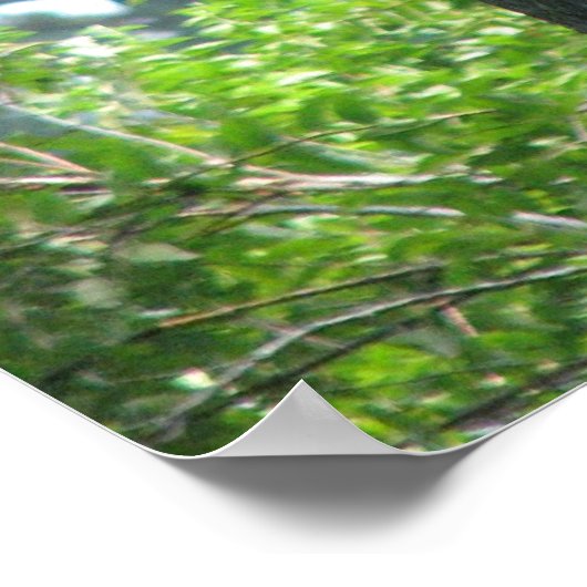 表情豊かな木 ポスター (角)