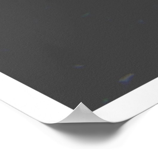 表現の自由引用文バイノームチョムスキー ポスター (角)