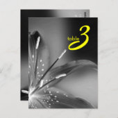 表番号カード ポストカード (正面/裏面)