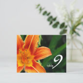 表番号カード ポストカード (スタンド正面)