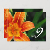 表番号カード ポストカード (正面/裏面)