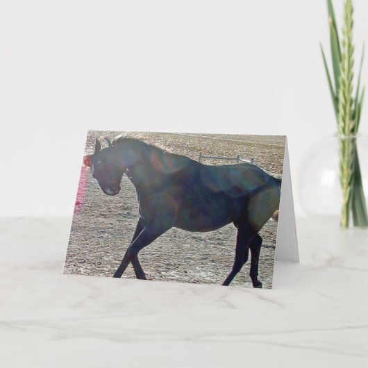 表示オフ カード (正面)