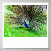 表示プリント ポスター (正面)