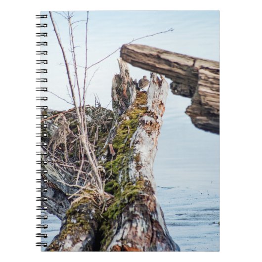 表示ボックス ノートブック (正面)