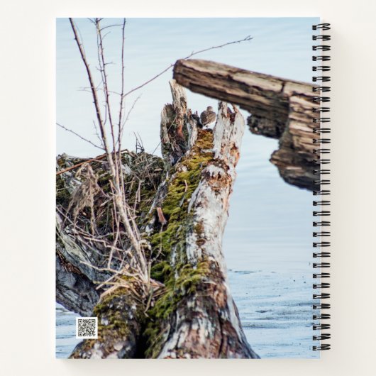 表示ボックス ノートブック (裏面)