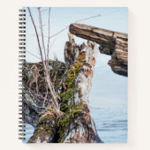 表示ボックス ノートブック (正面)