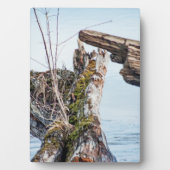 表示ボックス フォトプラーク (正面)