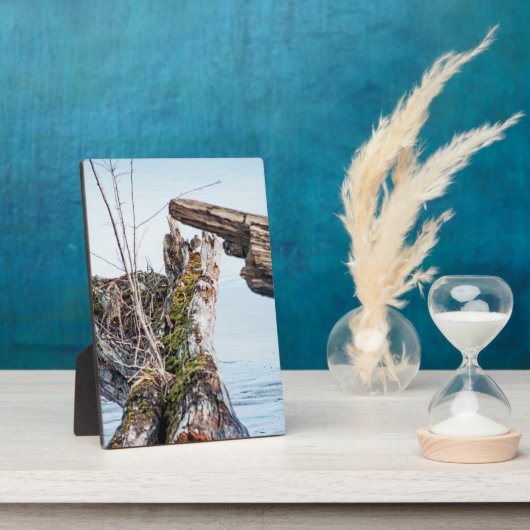 表示ボックス フォトプラーク (側面)