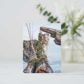 表示ボックス ポストカード (スタンド正面)