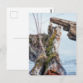 表示ボックス ポストカード (正面/裏面)