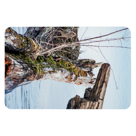 表示ボックス マグネット (横)