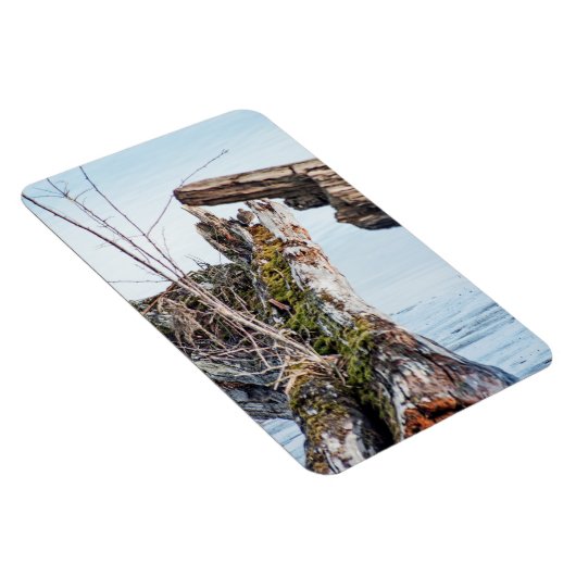 表示ボックス マグネット (右側)