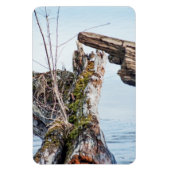 表示ボックス マグネット (縦)