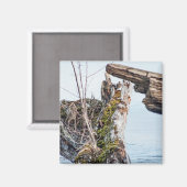 表示ボックス マグネット (正面/裏面)