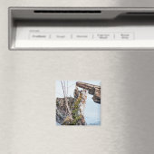 表示ボックス マグネット (インサイチュ (食洗機))