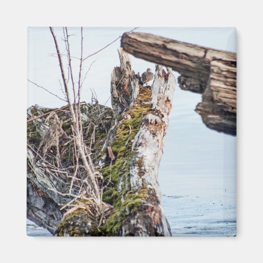 表示ボックス マグネット (正面)