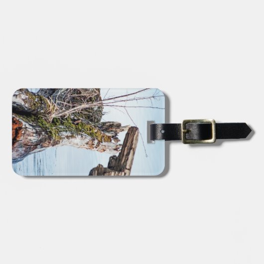 表示ボックス ラゲッジタグ (正面横)