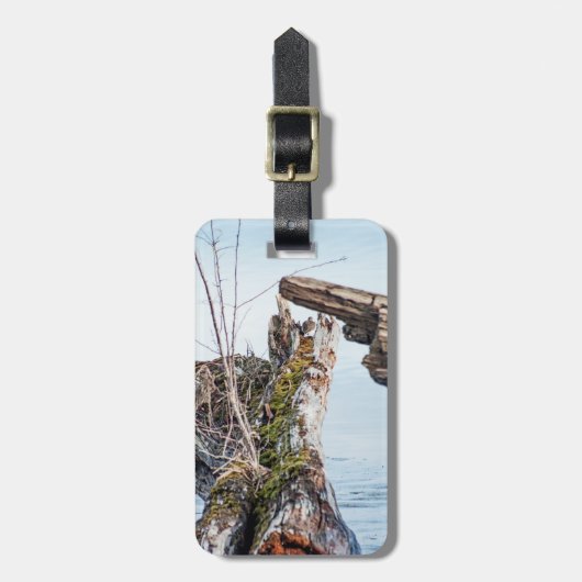 表示ボックス ラゲッジタグ (正面縦)