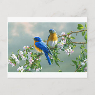 表示 – 絵画 – 花 – 鳥 – 動物 – デスクトップ – l- ポストカード