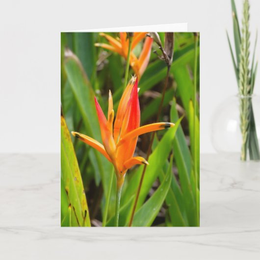 表紙にオレンジの花が描かれたグリーティングカード カード (正面)