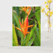 表紙にオレンジの花が描かれたグリーティングカード カード (黄色い花)