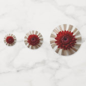 表紙吹雪（ジャパナーセ色） コンフェッティ (裏面)