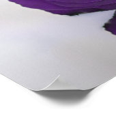 表紫王室のバラの結婚座席表11 ポスター (角)