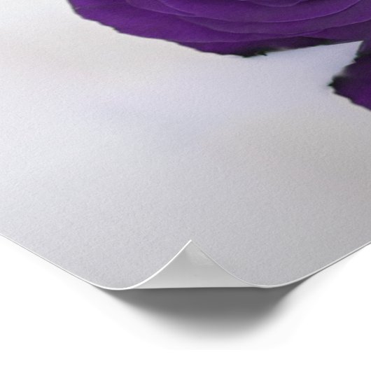 表紫王室のバラの結婚座席表15 ポスター (角)