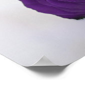 表紫王室のバラの結婚座席表24 ポスター (角)