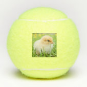 表面に印刷されたかわいいチキンロゴPenn Sports テニスボール (正面)