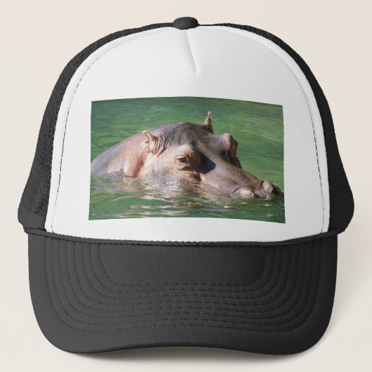 表面のカバの水泳 キャップ (正面)