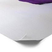 表18紫のエレガントバラ表 ポスター (角)