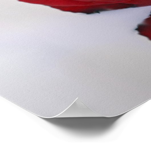 表30の赤いバラ結婚の座席表の反射 ポスター (角)