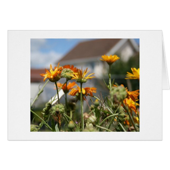 衰退の美しい (正面横)