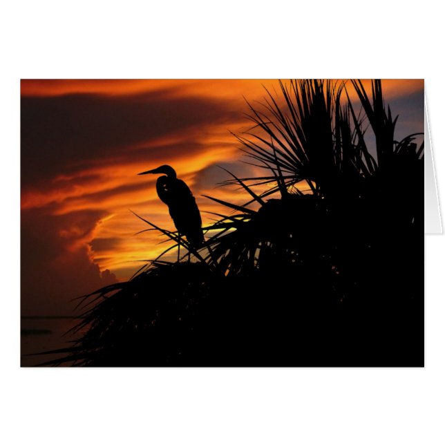 衰退ライト (正面横)