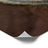 被拘束女性スマトラオランウータン ポスター (角)