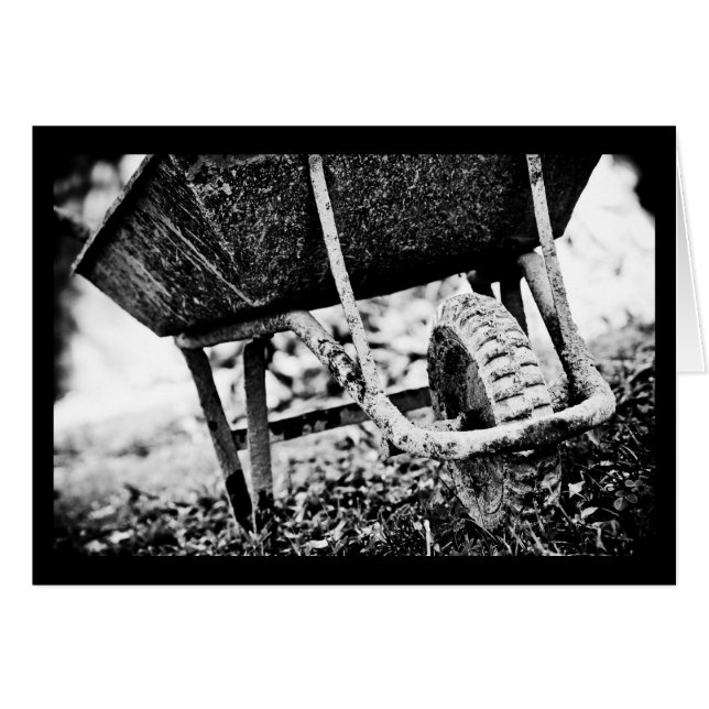 被覆担体 (正面横)