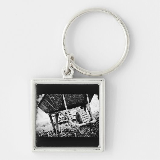 被覆担体 キーホルダー (正面)