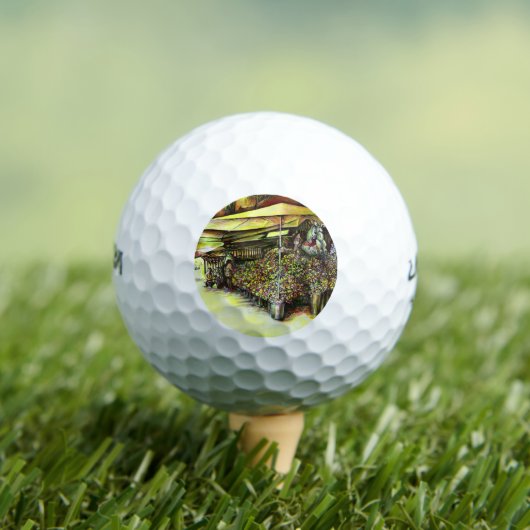 裁判官の占有 ゴルフボール (インサイチュ 木)