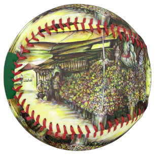 裁判官の占有 ソフトボール