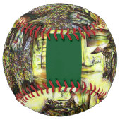 裁判官の占有 ソフトボール (正面)