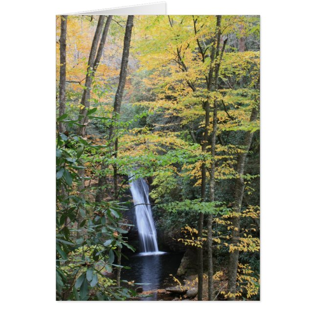 裁判所の滝 (正面)