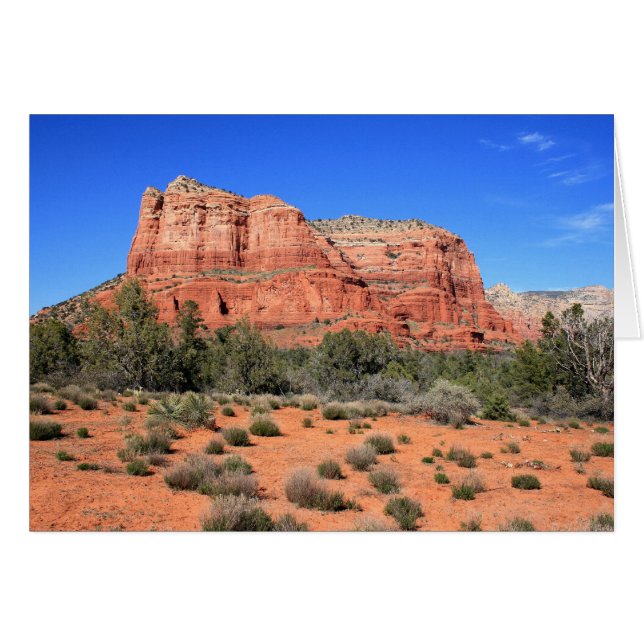 裁判所の石 (正面横)