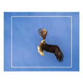 裁決 フォトプリント            (正面)